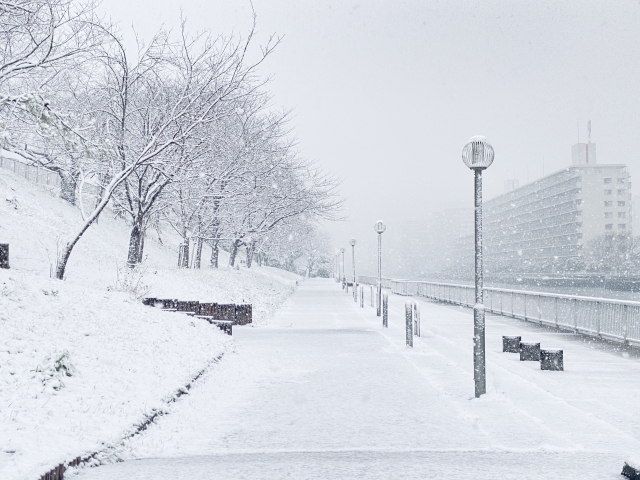 雪の予報で戦々恐々